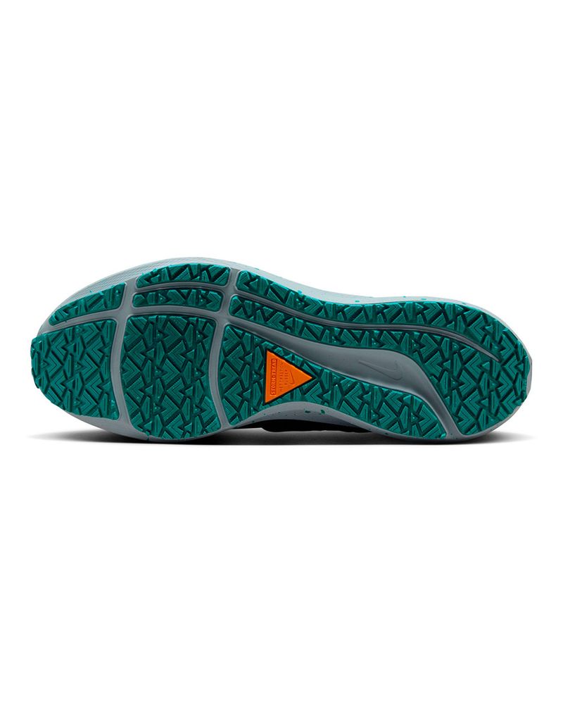 Tenis-Nike-Air-Pegasus-39-Shield-Masculino