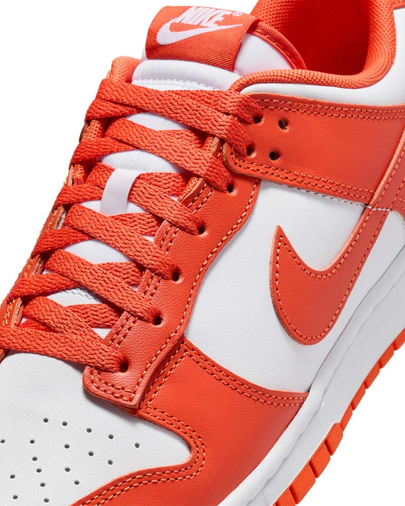 Tenis-Nike-Dunk-Low-Retro-Masculino
