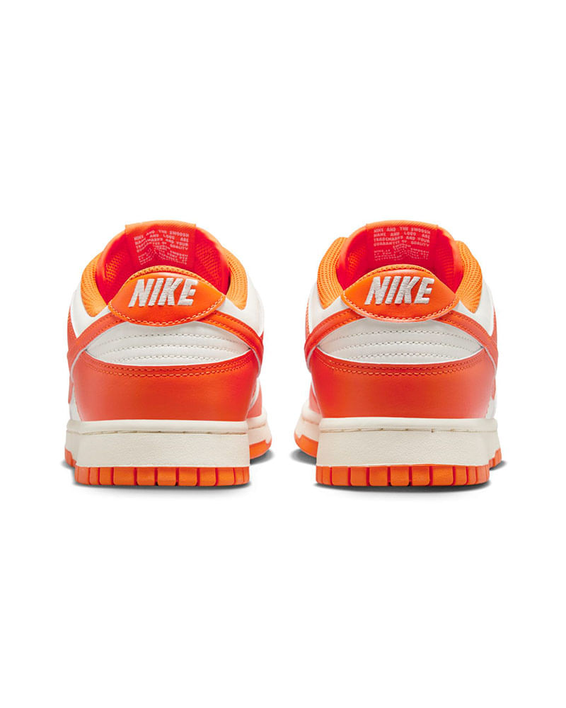 Tenis-Nike-Dunk-Low-Retro-Masculino