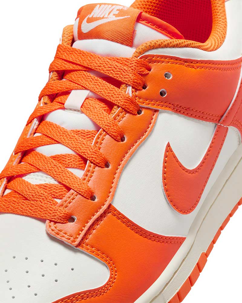 Tenis-Nike-Dunk-Low-Retro-Masculino