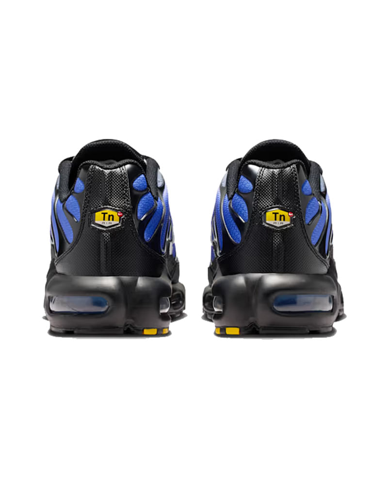 DM003-2-031-5-AF-800x1000